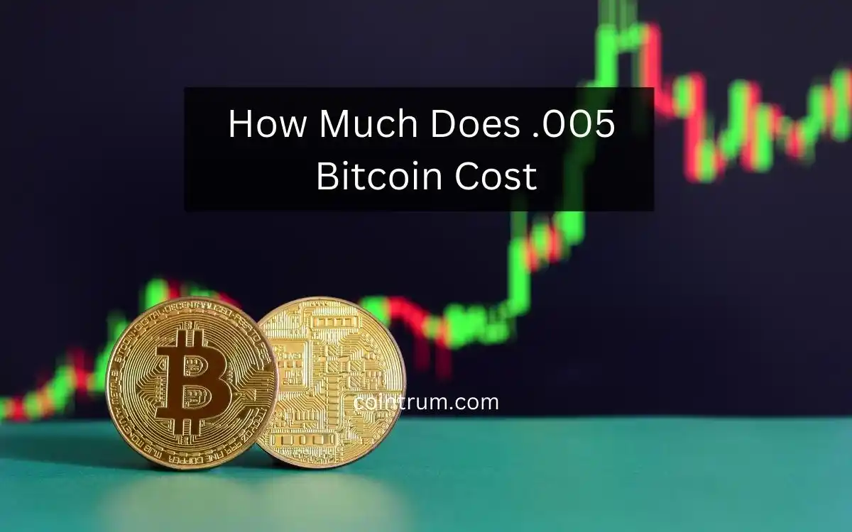 how much does .005 bitcoin cost